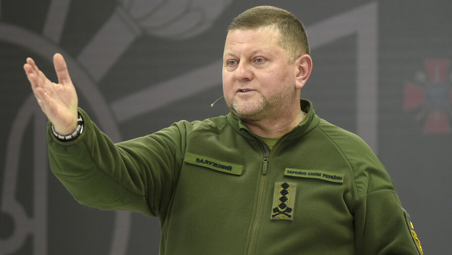 Рогов допустил возвращение Залужного на Украину в другой должности