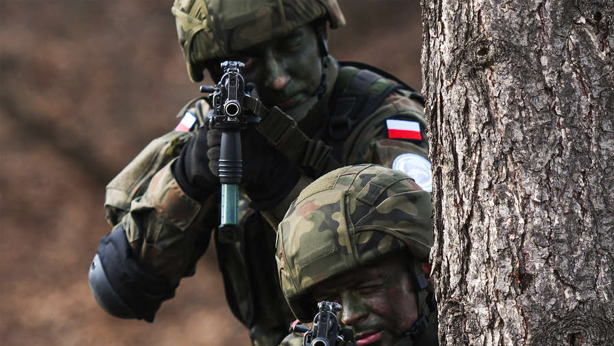 В Минобороны Белоруссии объяснили, для каких целей Польша закупает оружие